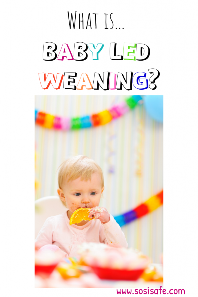 What is Baby Led Weaning? Is it right for your family? 